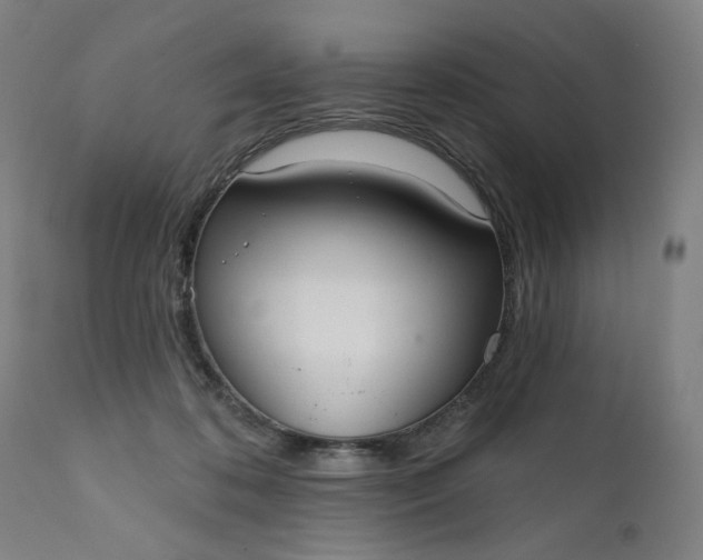 X0000111610316200907311145