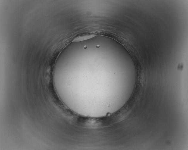 X0000111610319200907311145