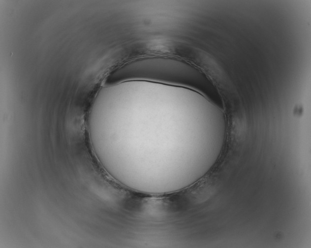 X0000111610320200907311145