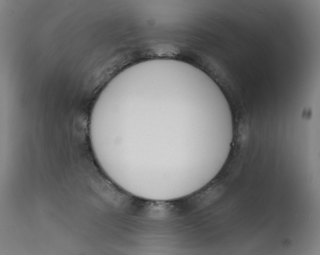 X0000111610321200907311145