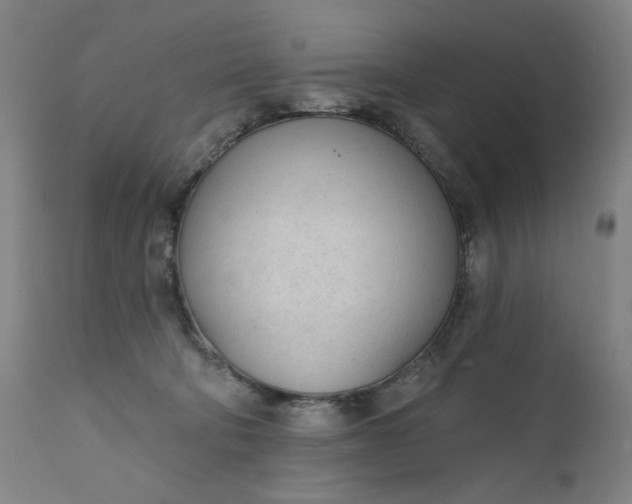 X0000111610322200907311145