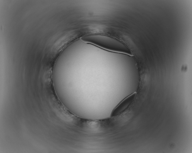 X0000111610325200907311145