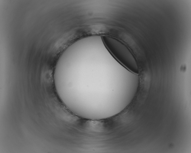 X0000111610327200907311145