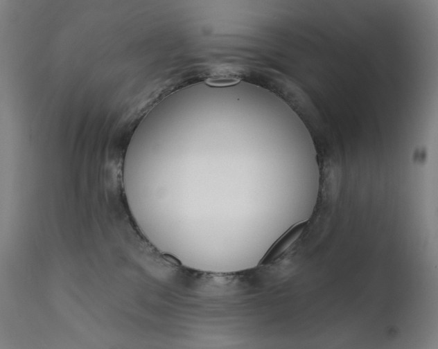 X0000111610329200907311145