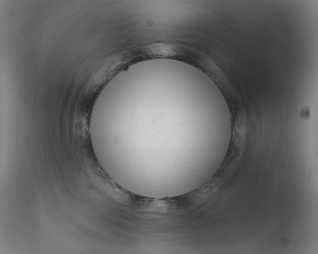 X0000111610330200907311145