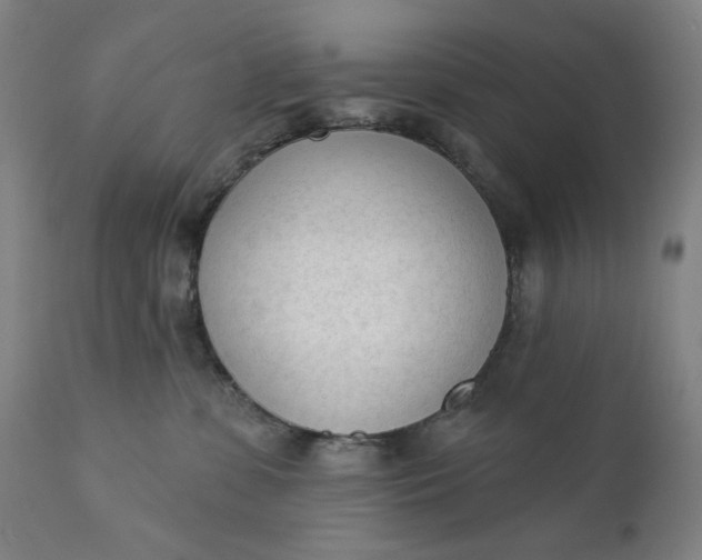 X0000111610331200907311145