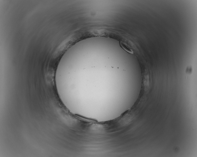 X0000111610332200907311145