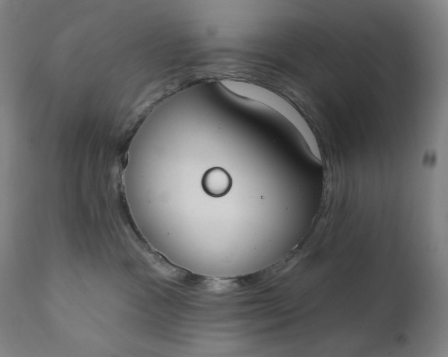 X0000111610333200907311145