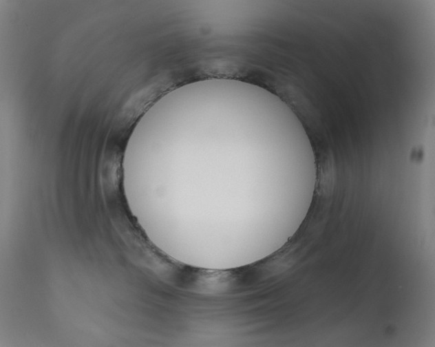 X0000111610334200907311145