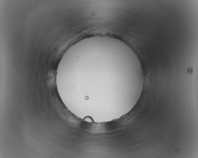 X0000111610335200907311145