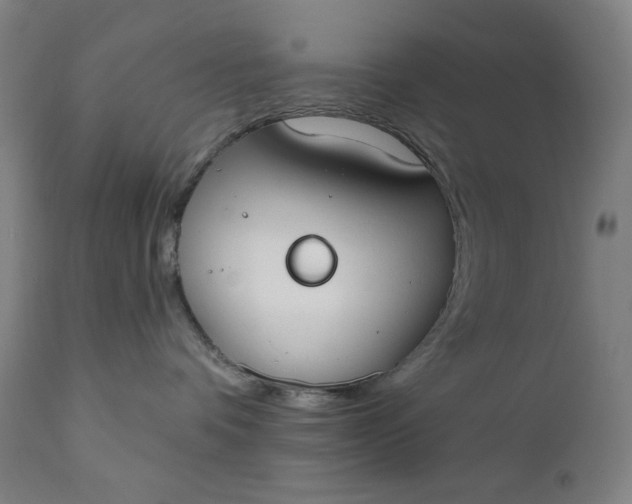 X0000111610336200907311145