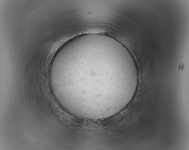 X0000111610337200907311144