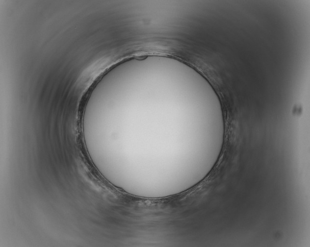 X0000111610338200907311144