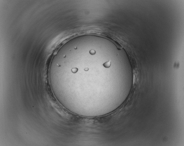 X0000111610339200907311144