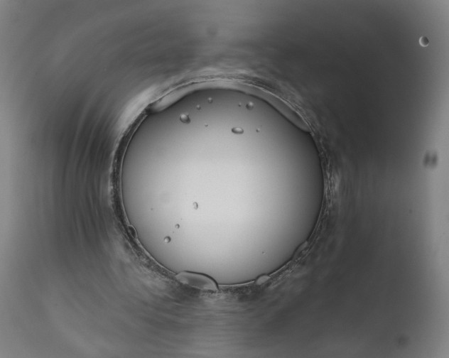 X0000111610340200907311144