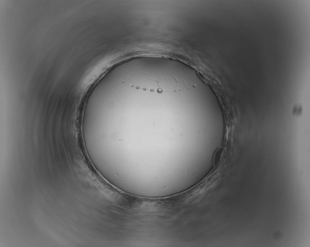 X0000111610341200907311144