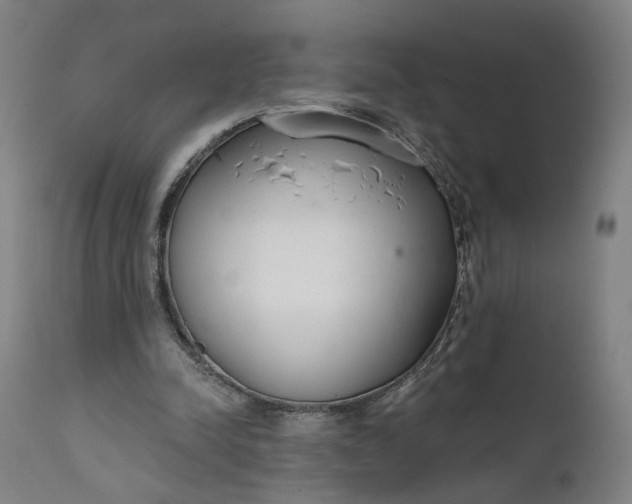 X0000111610342200907311144