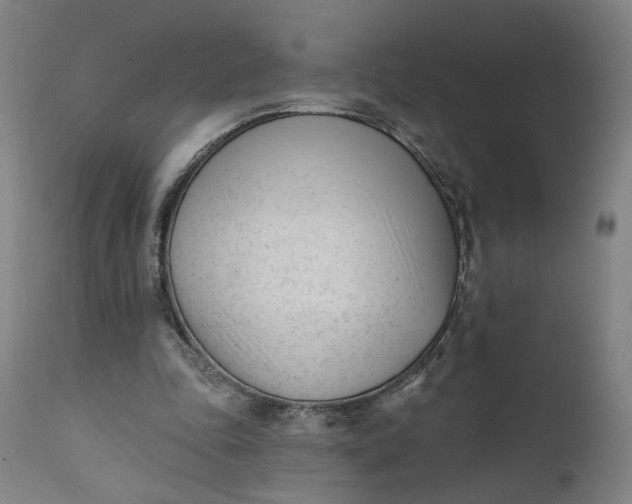 X0000111610343200907311144