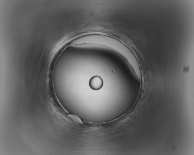 X0000111610344200907311144