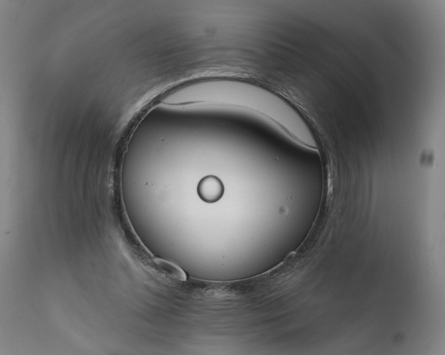 X0000111610348200907311144