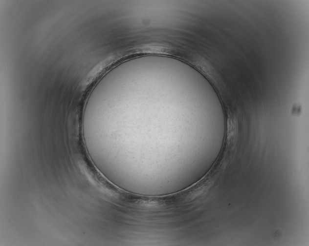 X0000111610349200907311144