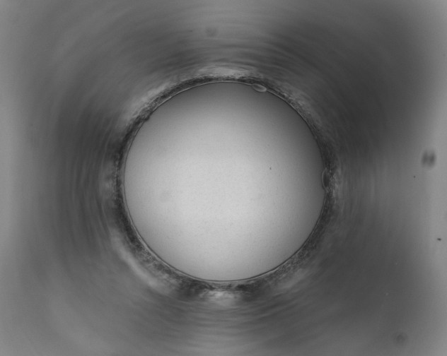 X0000111610352200907311144