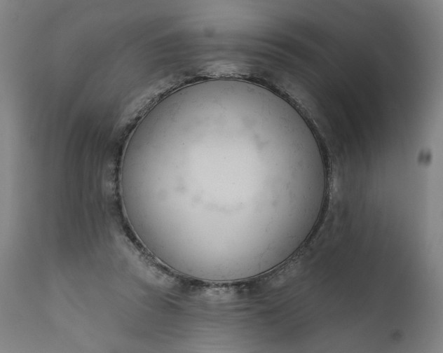 X0000111610353200907311144