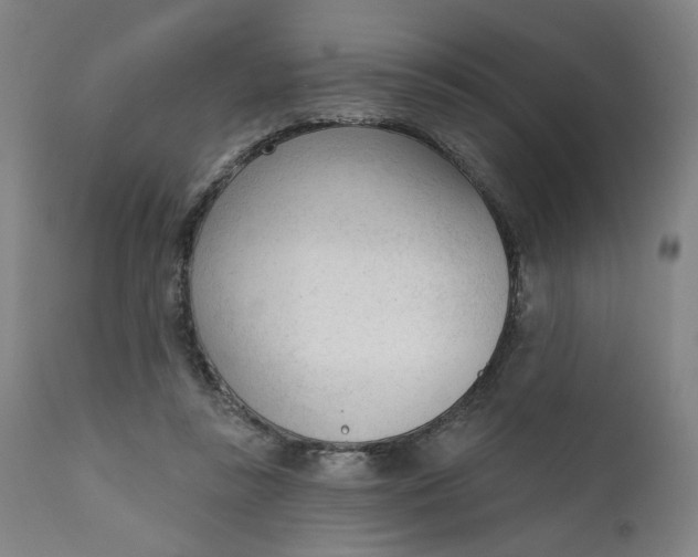 X0000111610355200907311144