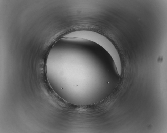 X0000111610356200907311144