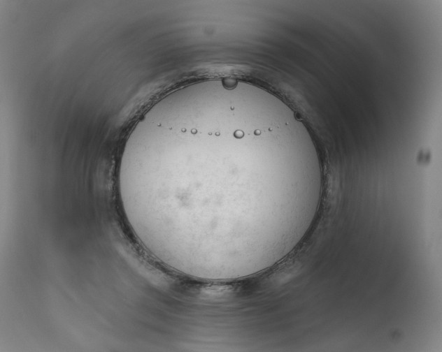 X0000111610357200907311144