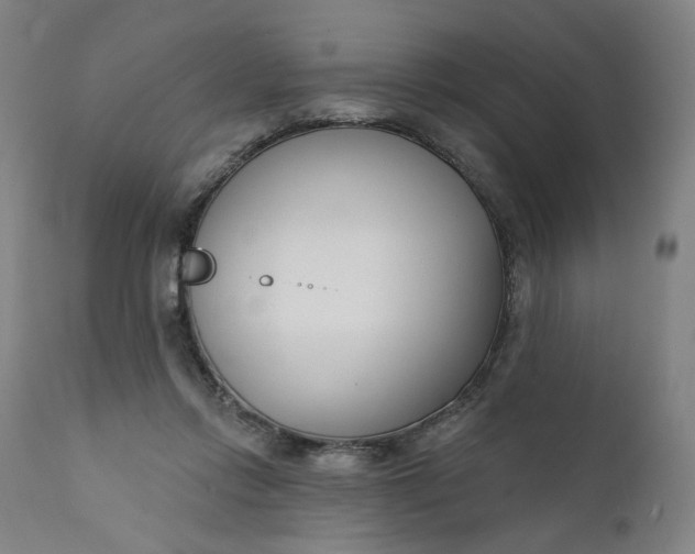 X0000111610358200907311144