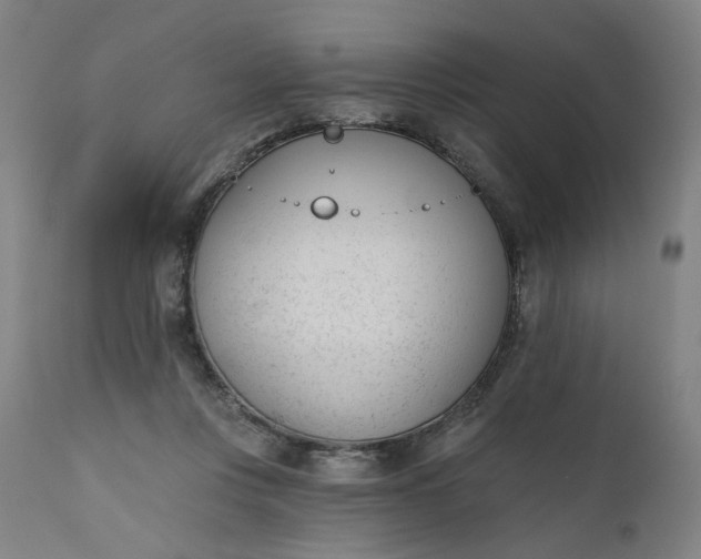 X0000111610359200907311144