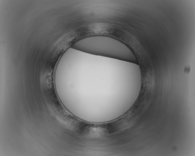 X0000111610360200907311144