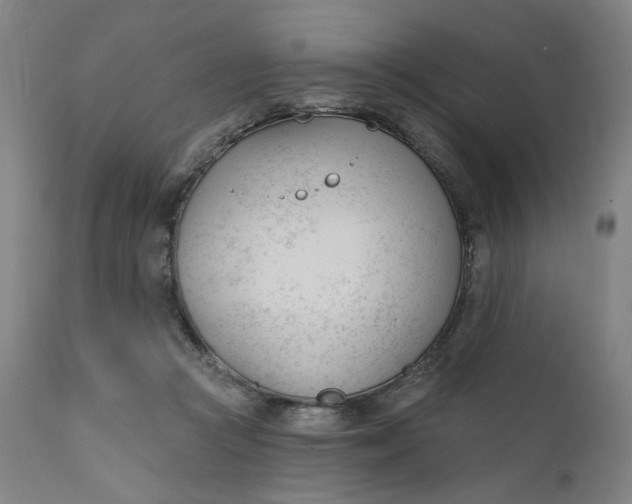 X0000111610361200907311144