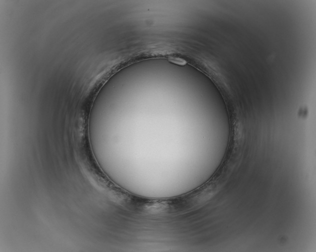 X0000111610362200907311144