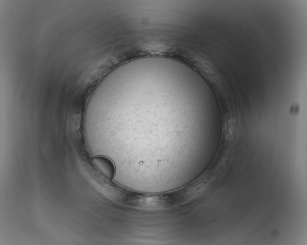 X0000111610365200907311144