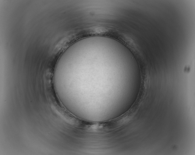 X0000111610366200907311144