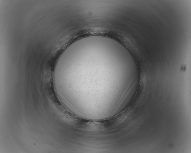 X0000111610367200907311144