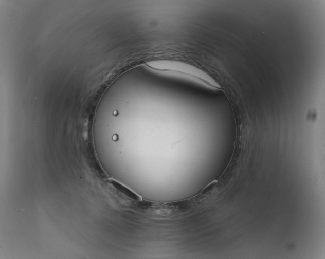 X0000111610368200907311144