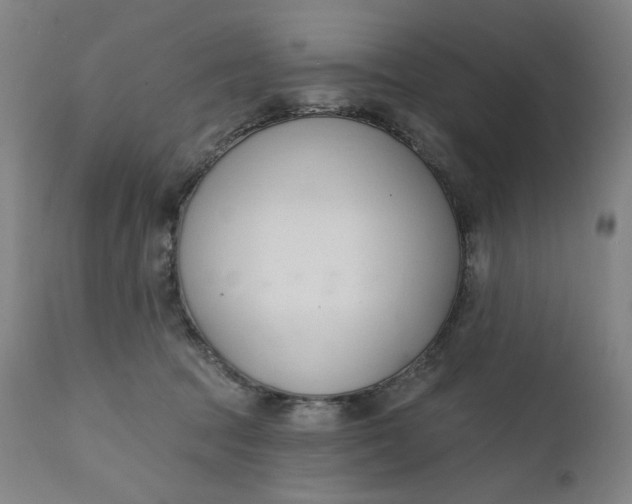 X0000111610369200907311144