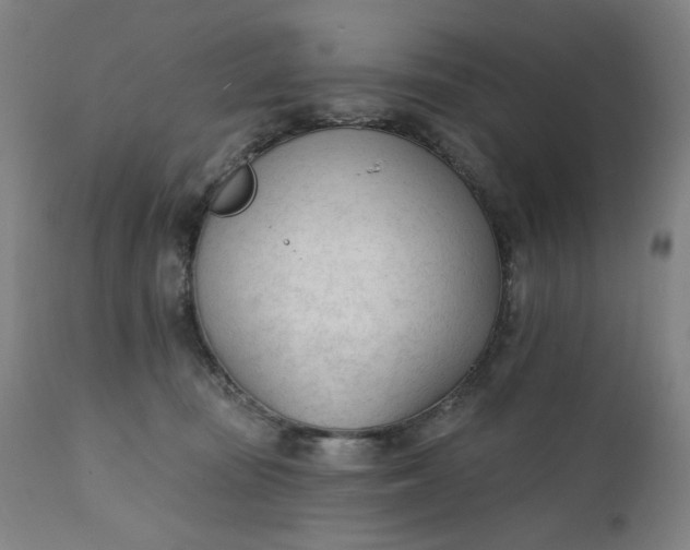 X0000111610371200907311144