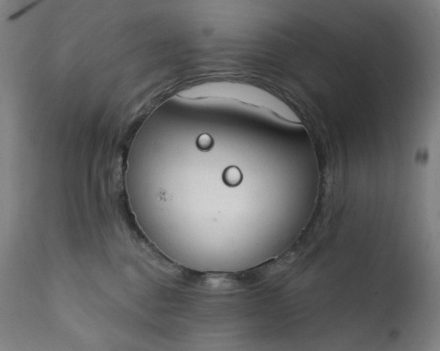 X0000111610376200907311145