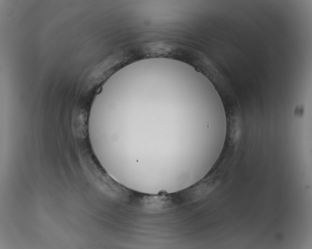 X0000111610378200907311145