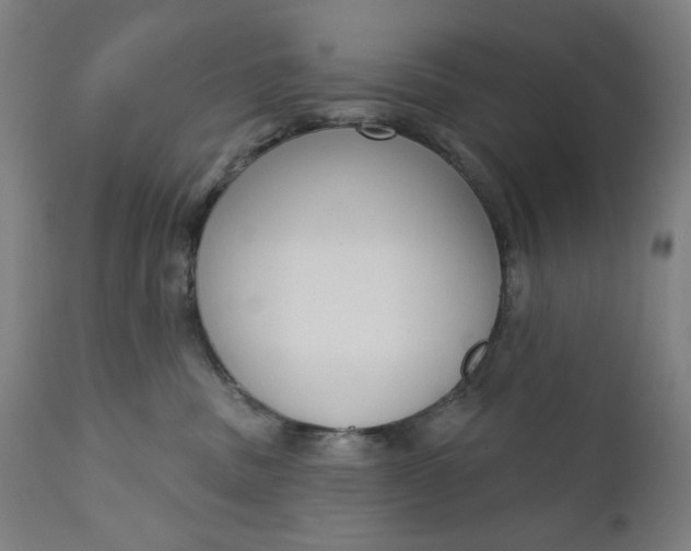 X0000111610379200907311145