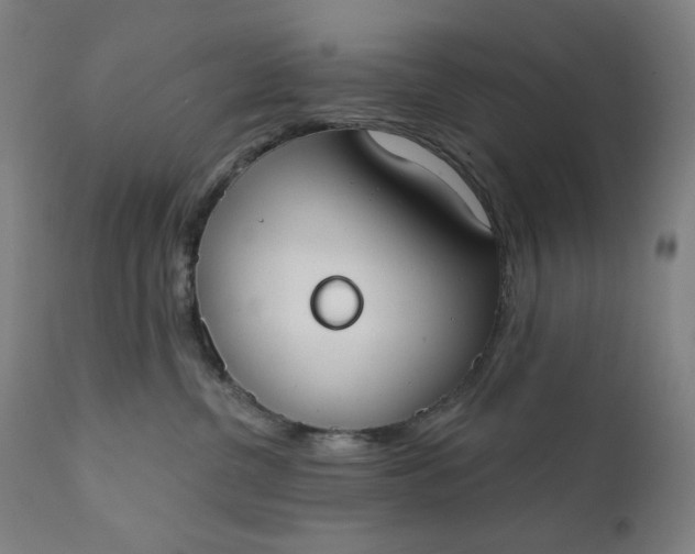 X0000111610380200907311145