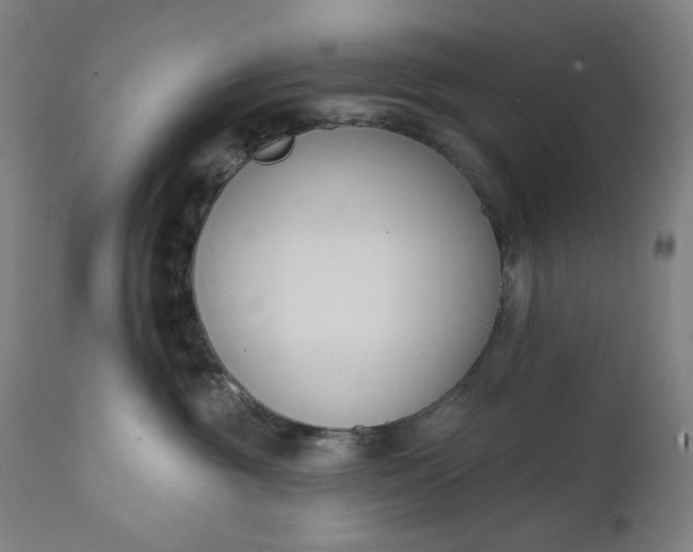 X0000111610381200907311145