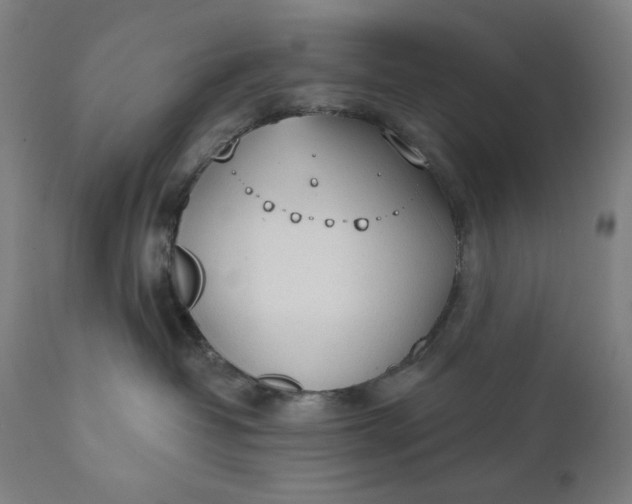 X0000111610382200907311145