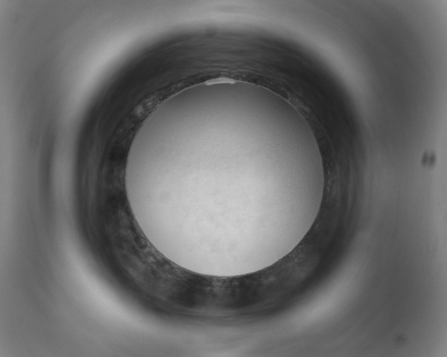 X0000111610383200907311145