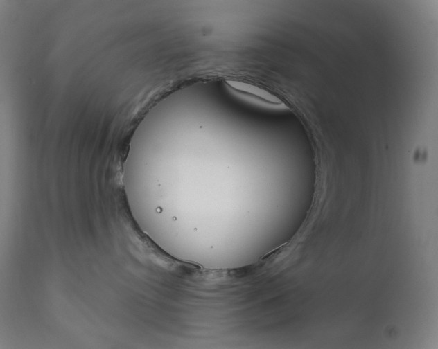 X0000111610384200907311145