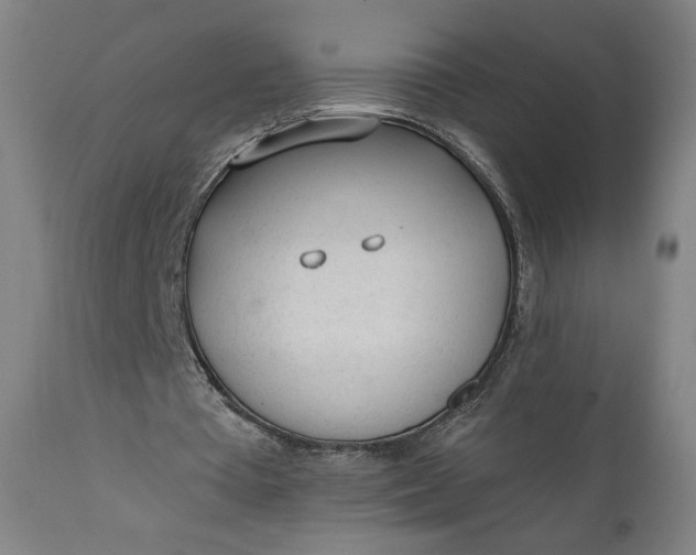 X0000111610385200907311144